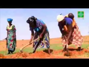 Video: Tauraruwa Ep 115